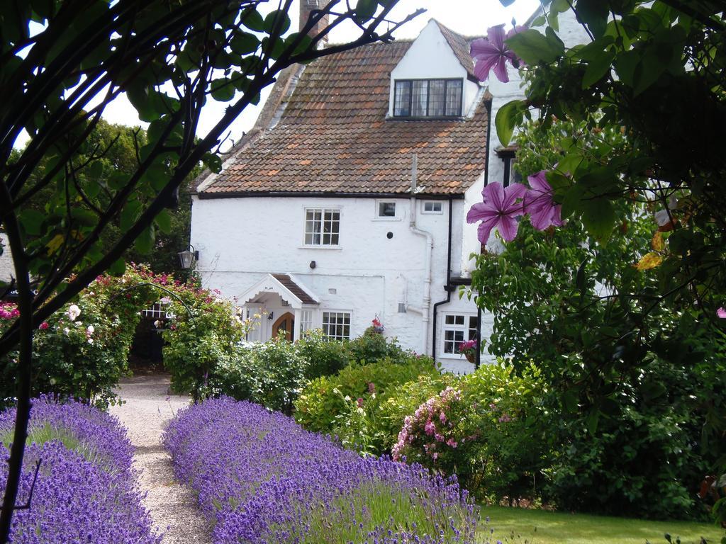 Bed and Breakfast The Old House Nether Stowey Exterior foto